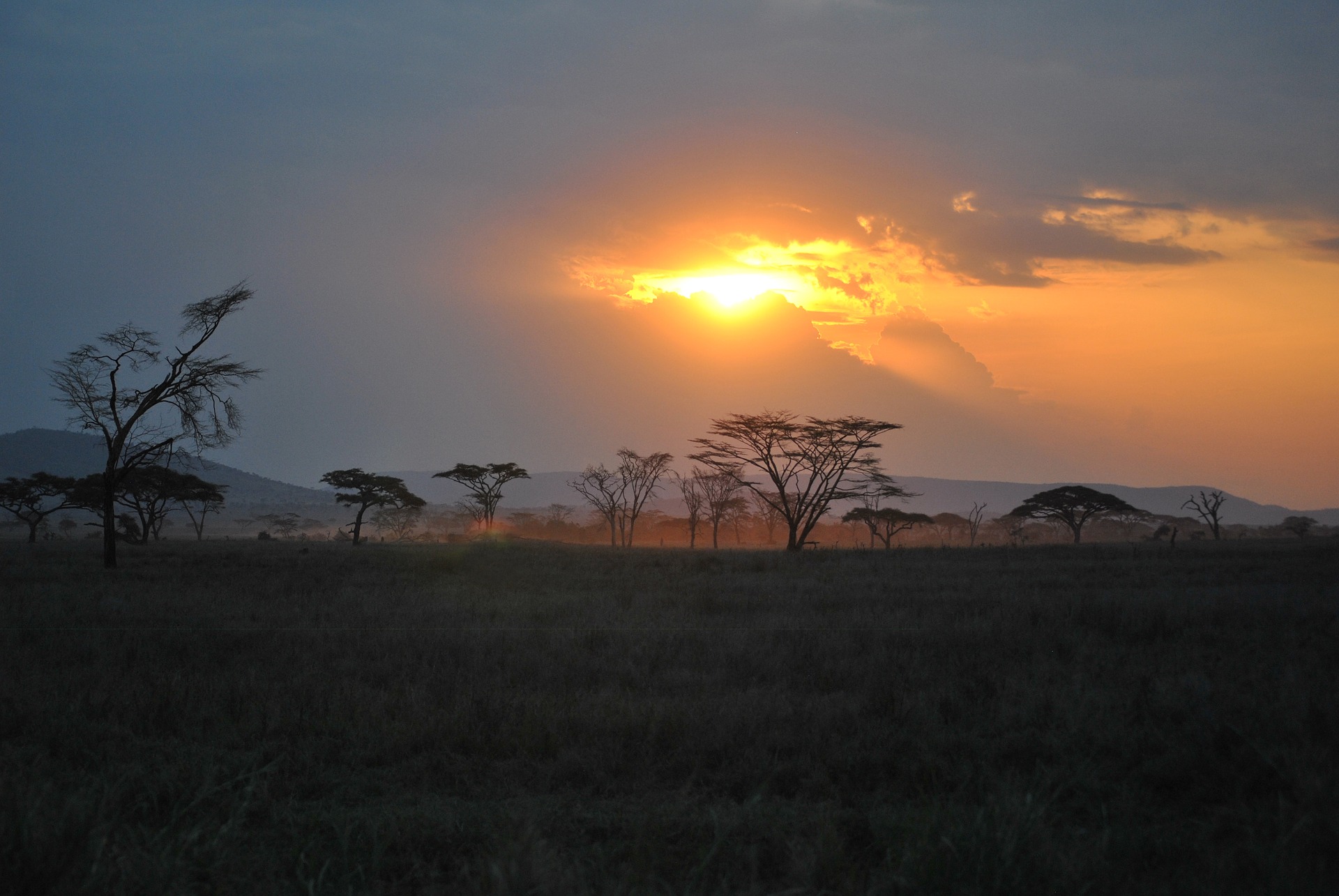 Серенгети, Танзания, Африка