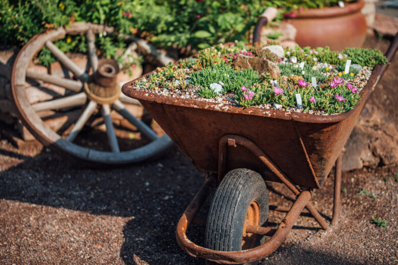 Wheelbarrow used as a garden decoration filled with plants