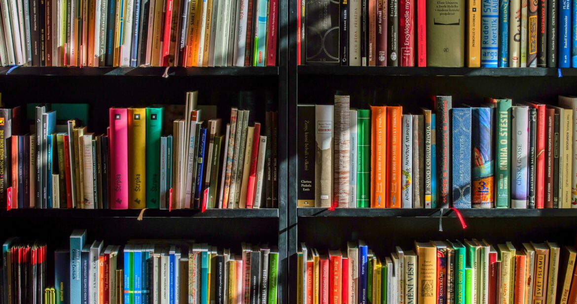 Colourful books on a shelf