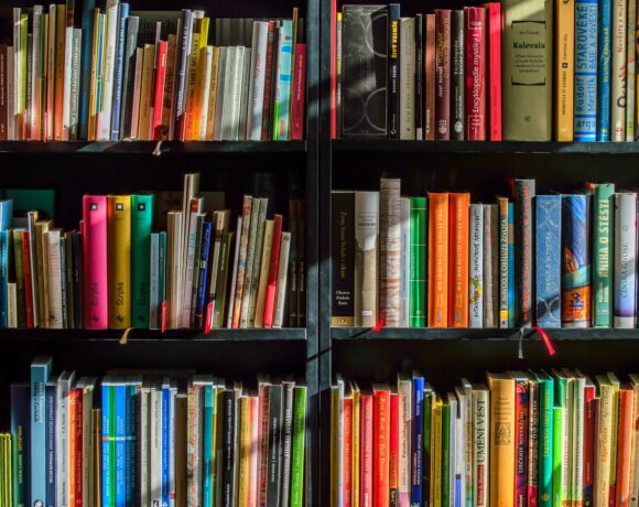 Colourful books on a shelf