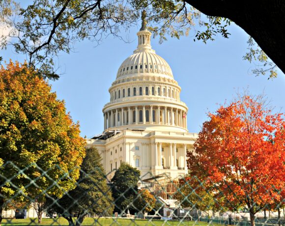 A view to the Capitol building in Washington DC