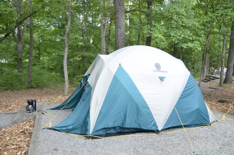 Tent pitched in a woodland area