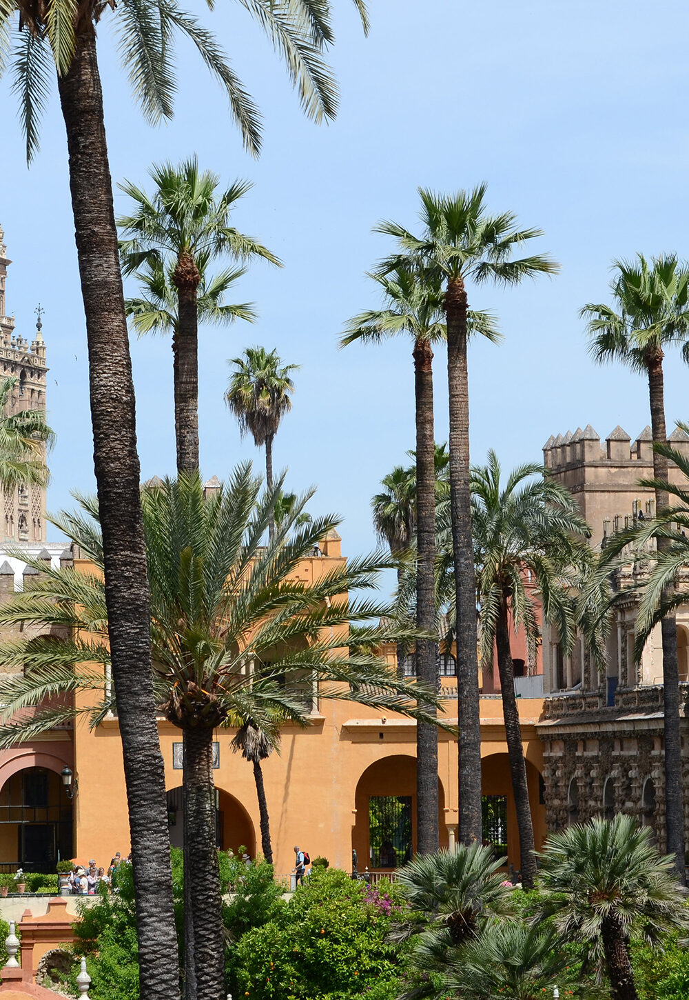 Alcazar gardens in Spain