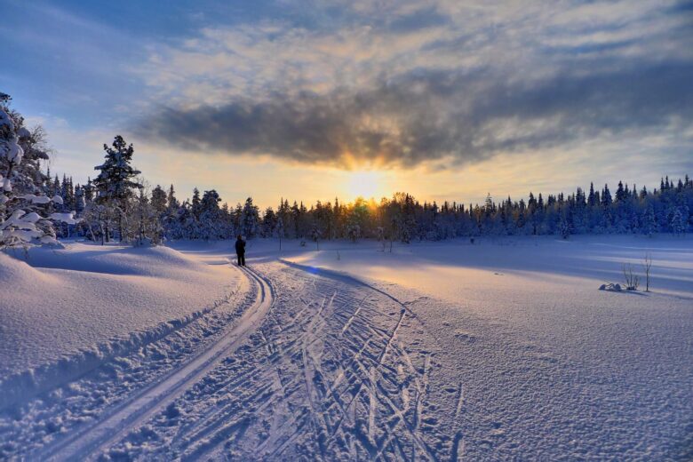 Cross-country skiing at sunset